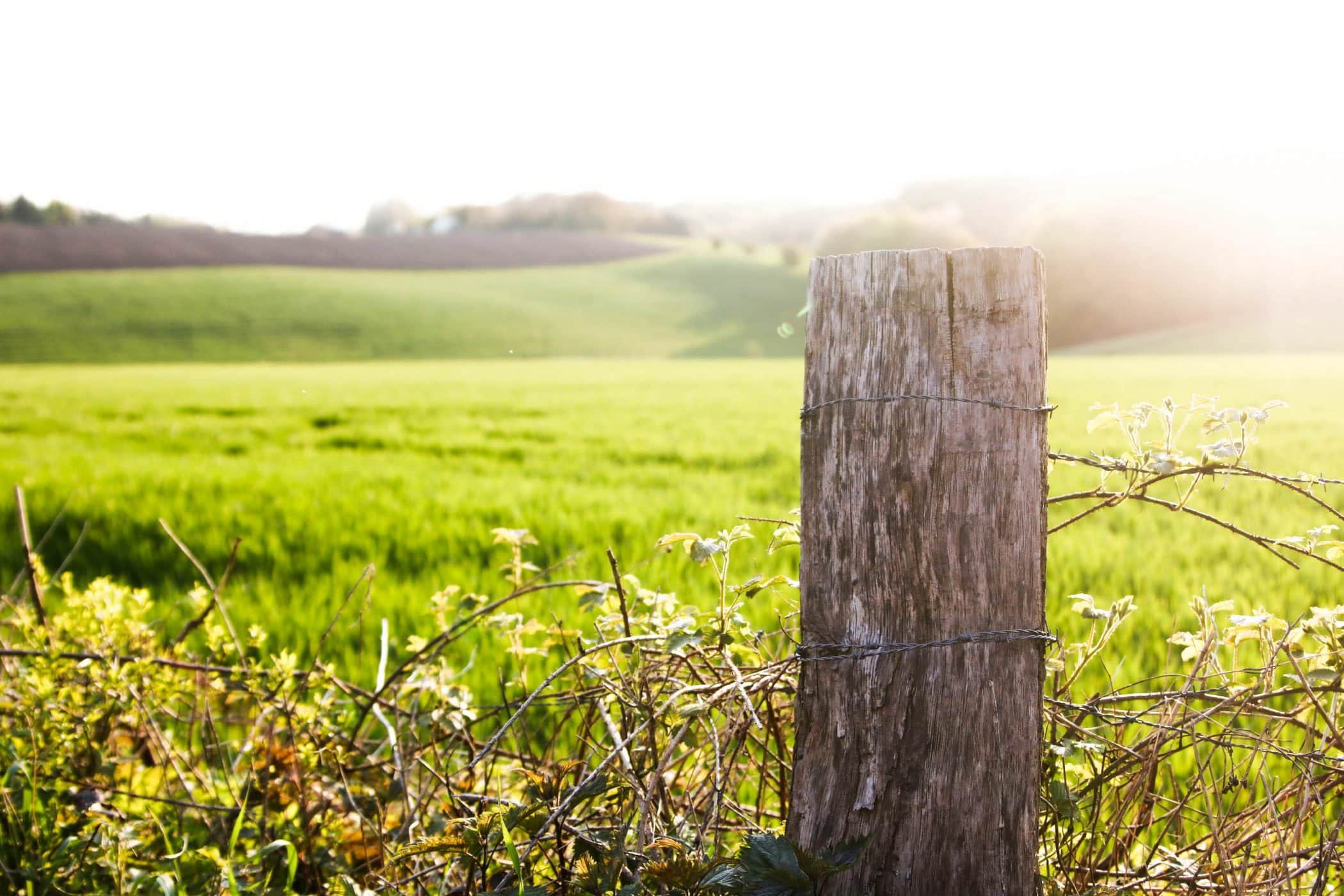Sonnenuntergang in Heidhausen