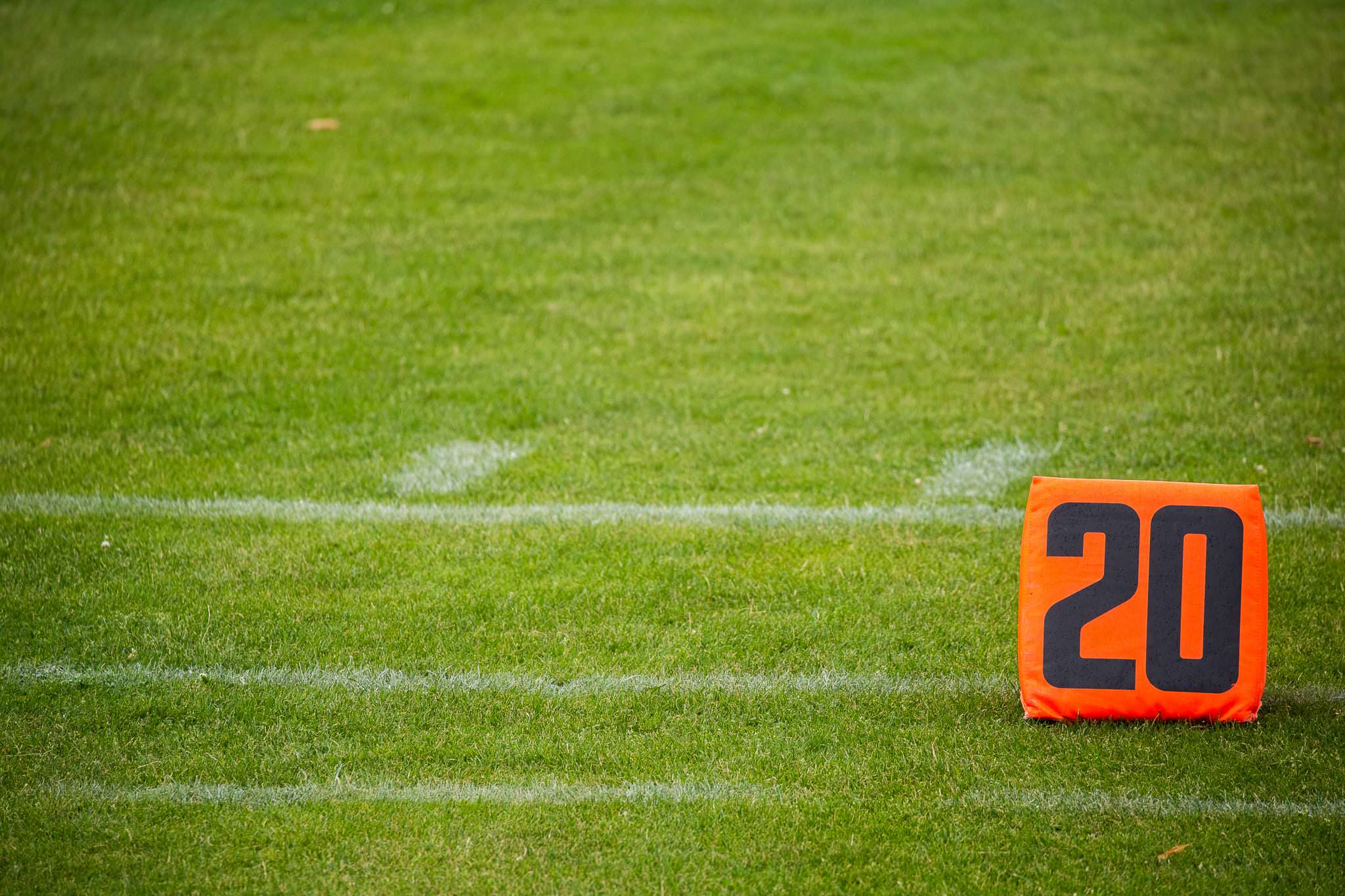 27.07.2019 Düsseldorf Panthers vs. Dresden Monarchs